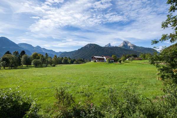 Bild aus der Galerie