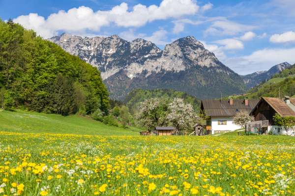 Bild aus der Galerie