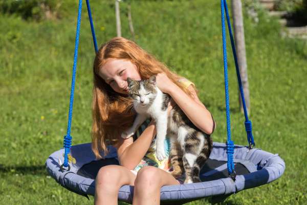 Bild aus der Galerie