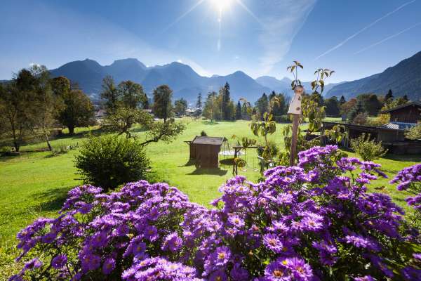 Bild aus der Galerie