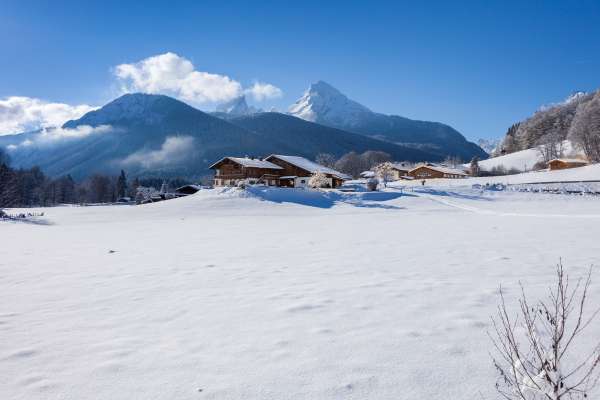 Bild aus der Galerie