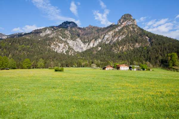 Bild aus der Galerie