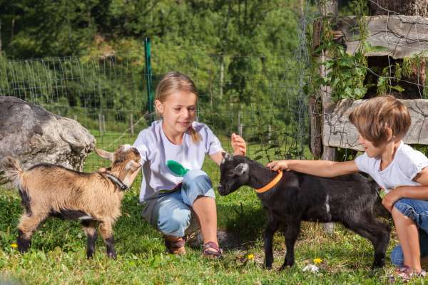 Bild aus der Galerie