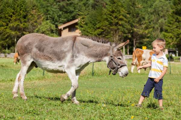 Bild aus der Galerie