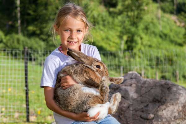 Bild aus der Galerie