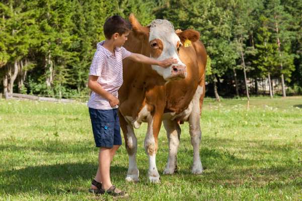 Bild aus der Galerie