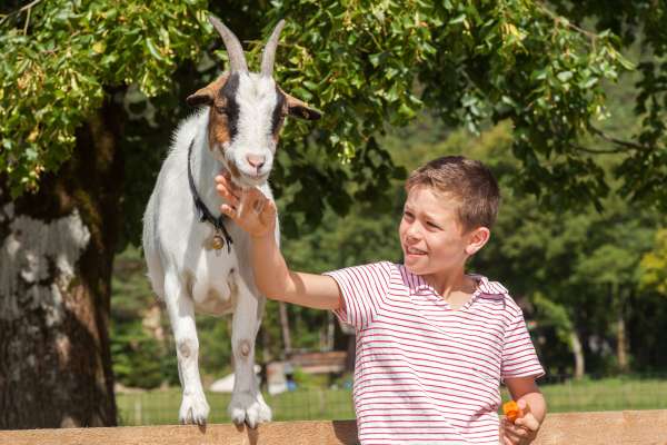 Bild aus der Galerie