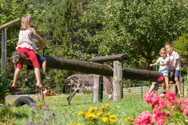 Bild aus der Galerie