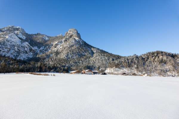 Bild aus der Galerie