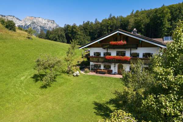 Bild aus der Galerie