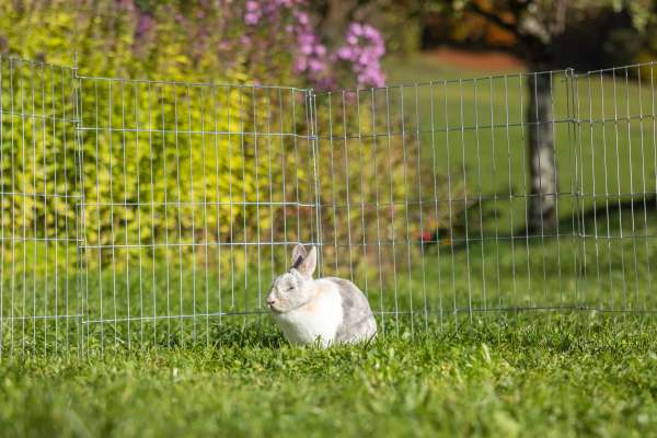 Bild aus der Galerie