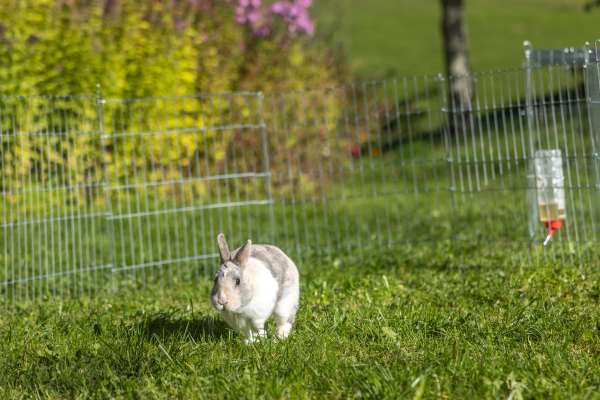 Bild aus der Galerie