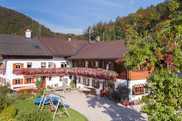 Bild aus der Galerie