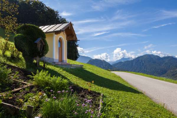 Bild aus der Galerie