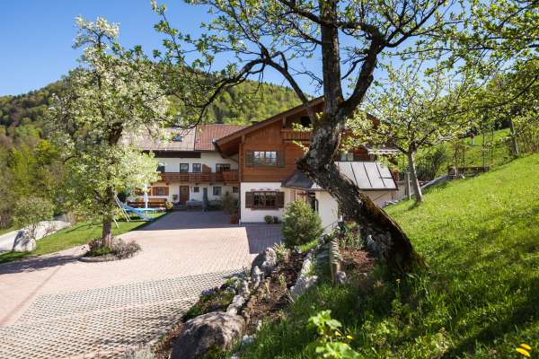 Bild aus der Galerie