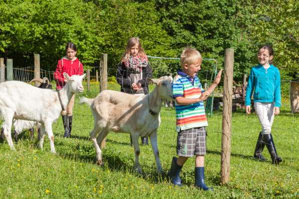 Bild aus der Galerie