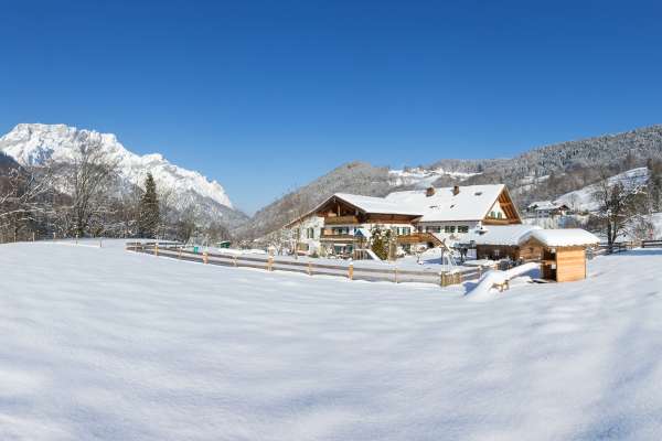 Bild aus der Galerie