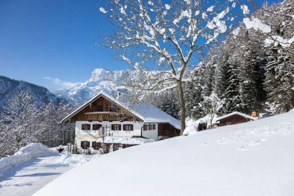 Bild aus der Galerie