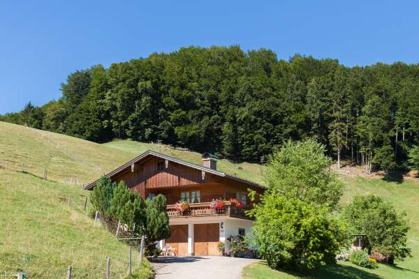 Bild aus der Galerie