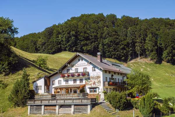 Bild aus der Galerie