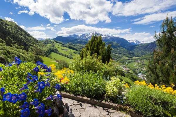 Bild aus der Galerie