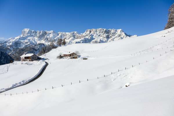 Bild aus der Galerie