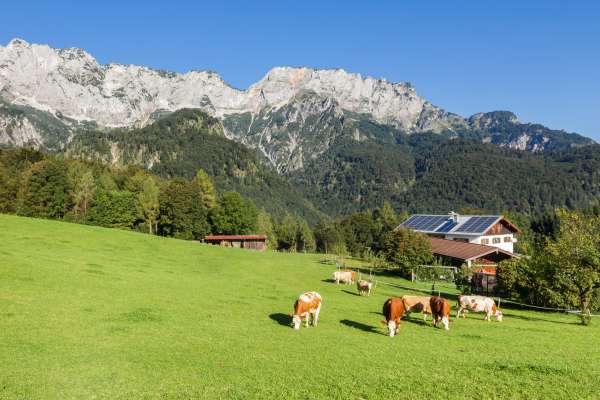 Bild aus der Galerie