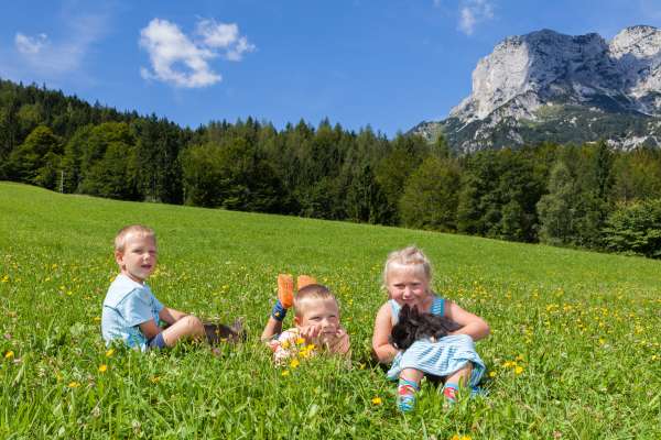 Bild aus der Galerie