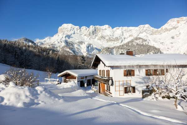 Bild aus der Galerie