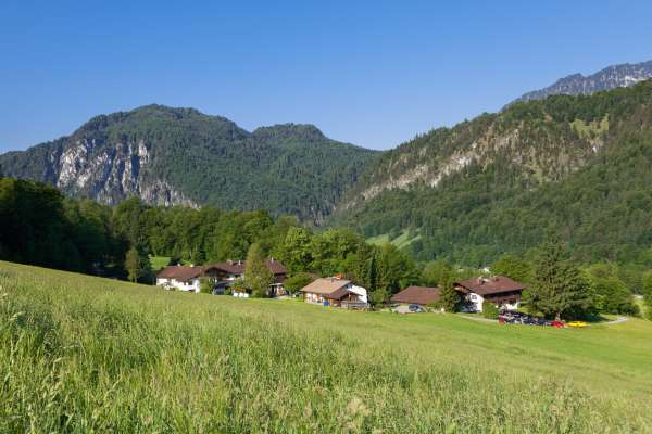 Bild aus der Galerie