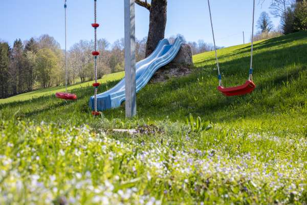 Bild aus der Galerie