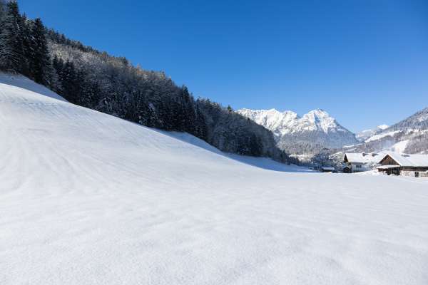 Bild aus der Galerie