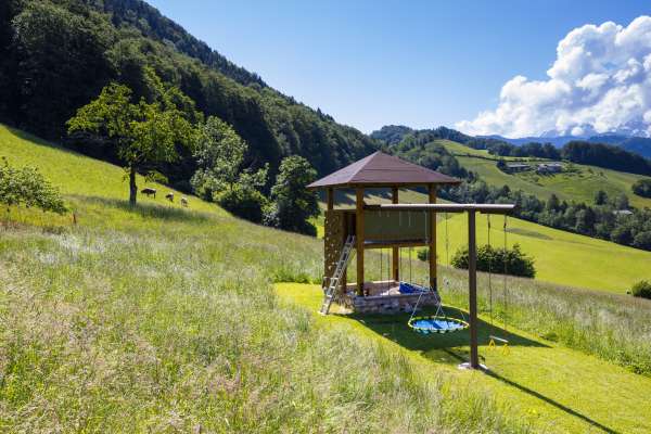 Bild aus der Galerie