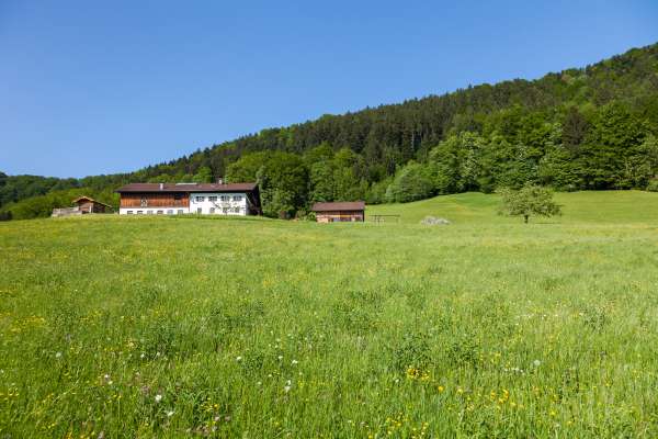 Bild aus der Galerie