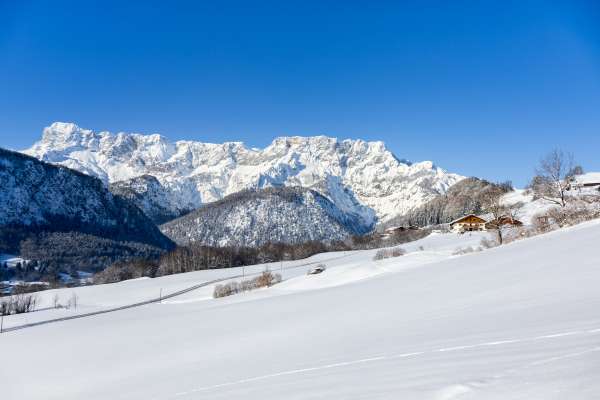 Bild aus der Galerie