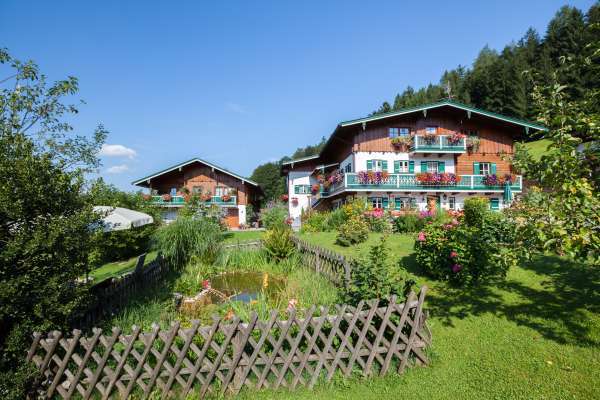 Bild aus der Galerie