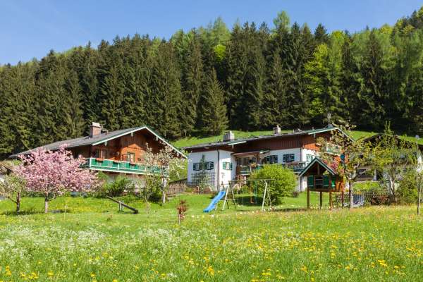 Bild aus der Galerie