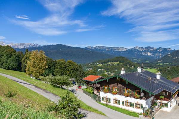 Bild aus der Galerie