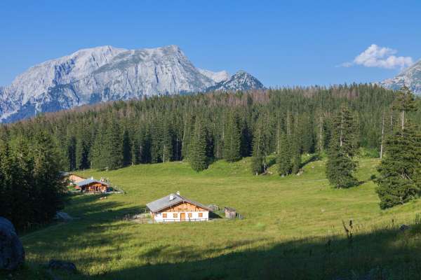 Bild aus der Galerie