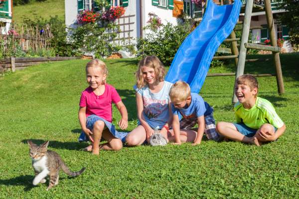 Bild aus der Galerie