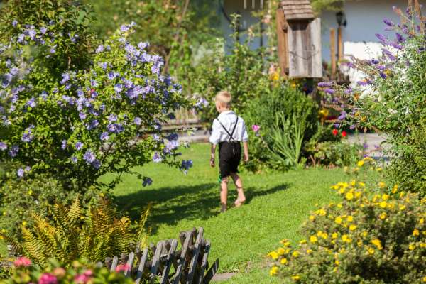 Bild aus der Galerie