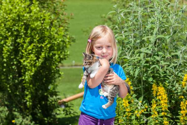 Bild aus der Galerie