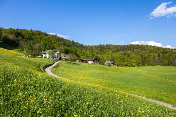 Bild aus der Galerie