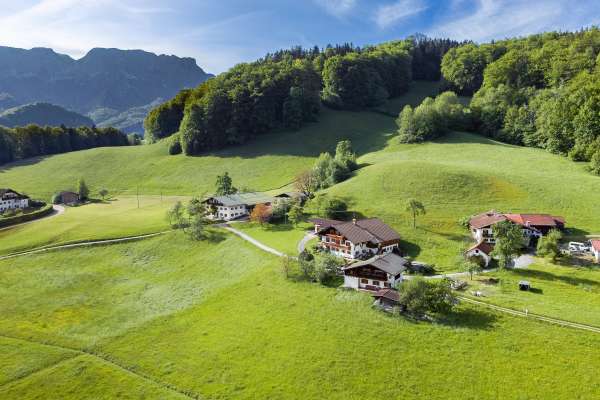 Bild aus der Galerie