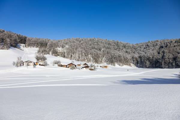 Bild aus der Galerie