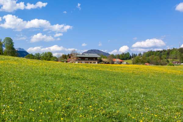 Bild aus der Galerie