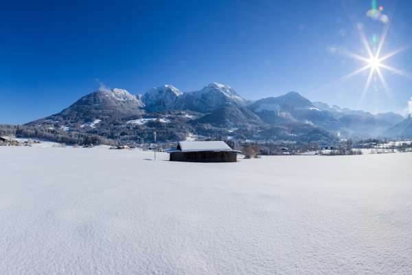 Bild aus der Galerie