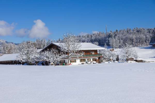 Bild aus der Galerie