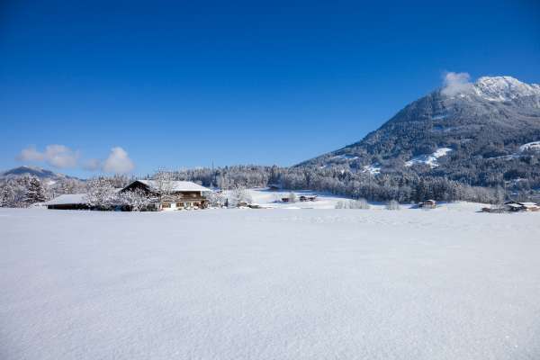 Bild aus der Galerie