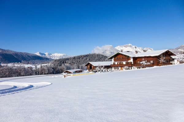 Bild aus der Galerie